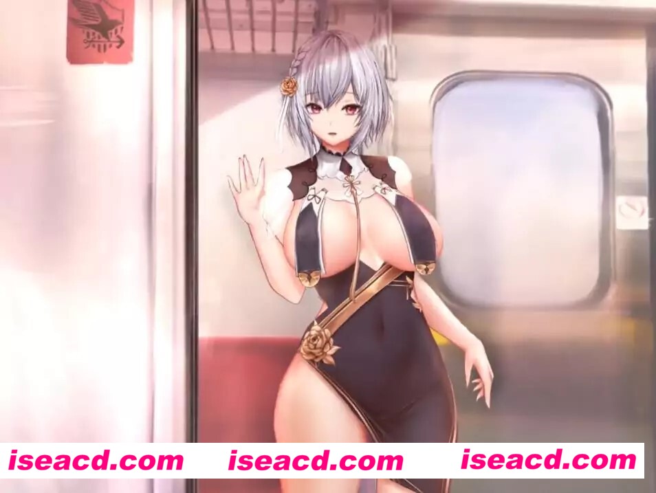 [MP4合集][Luminous大师：窑子航线极品同人作品合集 中文+换装+配音][3.2G][百度网盘+秒传链接]