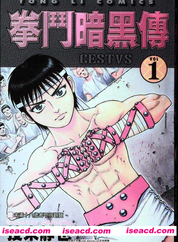 [热血格斗漫画][漫画]【拳斗暗黑传】[汉化1~15卷全][汉化][百度盘]