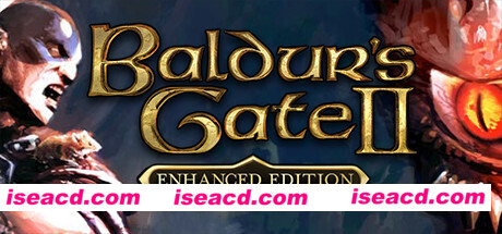 博德之门2/Baldurs Gate II Enhanced Edition（v2.6.5.0-加强版）