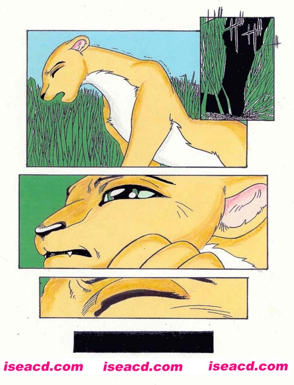 {动物X动物}[漫画][未知]獣犯[全收录][汉化][百度盘]