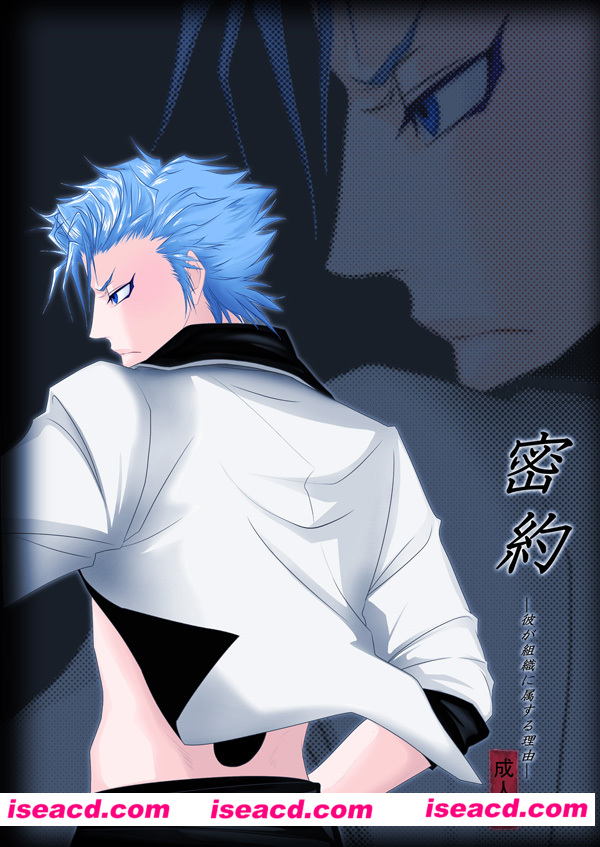 [Bleach][漫画]【Mitsuyaku】[全收录][完结][百度云][未汉化][百度盘]