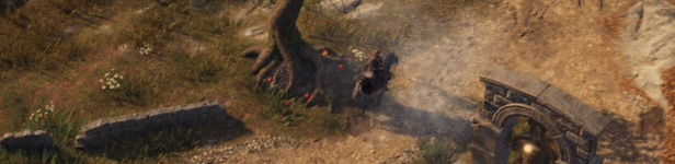 圣战群英传：解放/Disciples: Liberation（V1.3-疯狂之路）