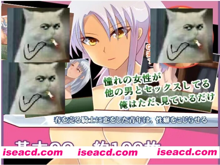 【RPG/AI汉化】 [铃屋] 对援交骑士心生爱慕的青年，逐渐扭曲了杏癖 AI汉化内嵌版【600M/新汉化】