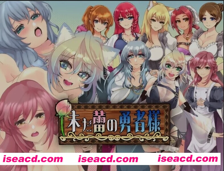[日式RPG/AI汉化/PC+安卓] 未开花的勇者大人V 1.02 内嵌AI汉化版 [2.4G/新作]